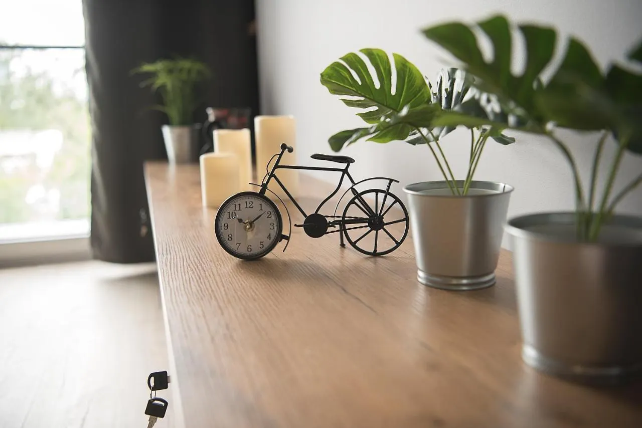 Wola Loft Apartment Warsaw